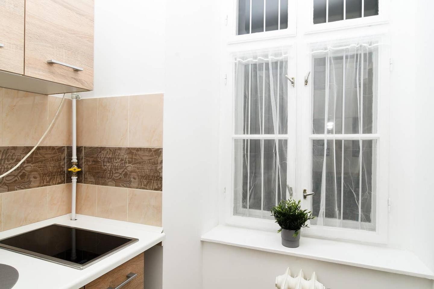 Very Central Apartment Close To Basilica 布达佩斯 外观 照片